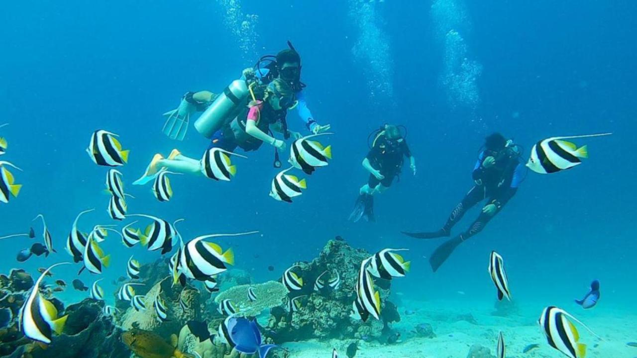 Sunia Loka Bungalows & Dive Center เปมูเตรัน ภายนอก รูปภาพ