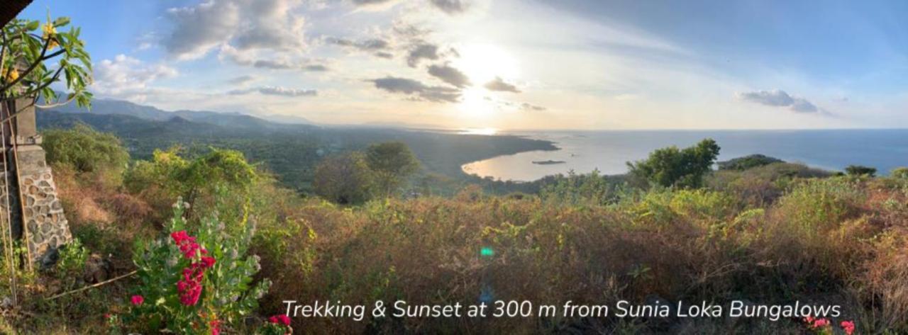 Sunia Loka Bungalows & Dive Center เปมูเตรัน ภายนอก รูปภาพ