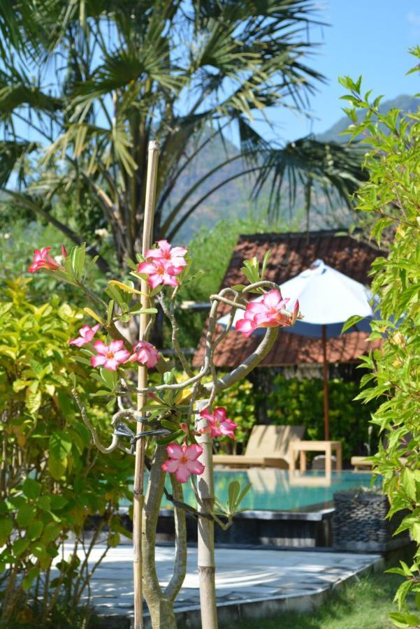 Sunia Loka Bungalows & Dive Center เปมูเตรัน ภายนอก รูปภาพ