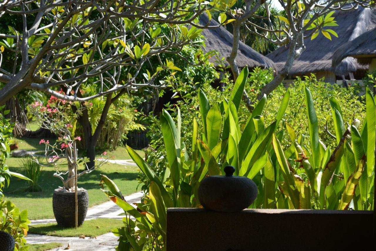 Sunia Loka Bungalows & Dive Center เปมูเตรัน ภายนอก รูปภาพ