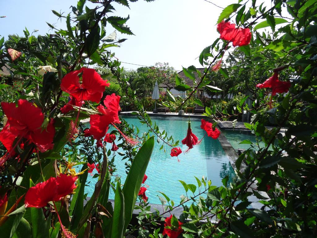 Sunia Loka Bungalows & Dive Center เปมูเตรัน ภายนอก รูปภาพ