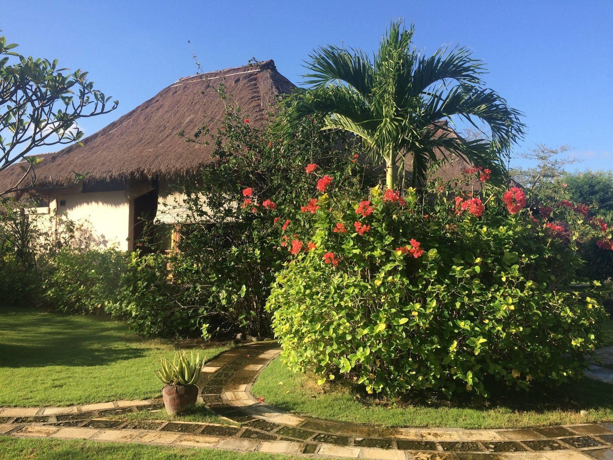 Sunia Loka Bungalows & Dive Center เปมูเตรัน ภายนอก รูปภาพ